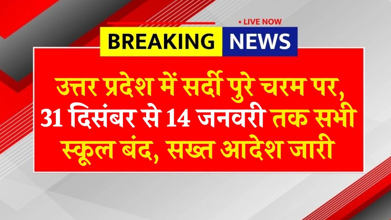 भीषण ठंड से राहत 8वीं कक्षा तक के स्कूलों में शीतकालीन अवकाश बढ़ा, अभिभावकों ने ली राहत की सांस!